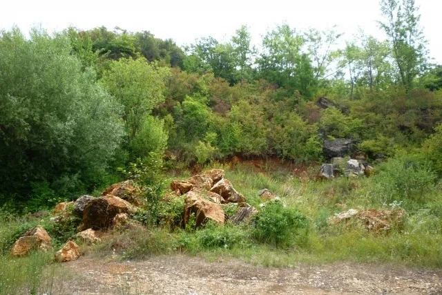 Photo gallery