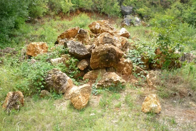Photo gallery